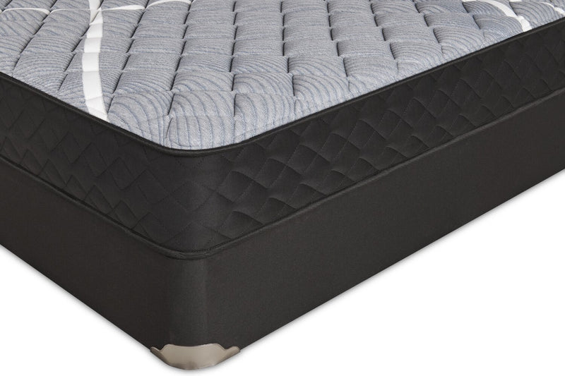Springwall White Birch Tight Top Firm Queen Mattress-in-a-Box Set