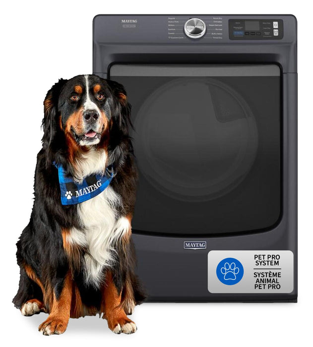 Maytag 7.4 Cu. Ft. Pet Pro Smart Gas Dryer - Midnight Steel - MGD7020RF