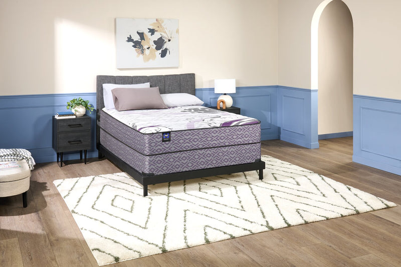 Sealy 2025 Low-Profile Queen Boxspring