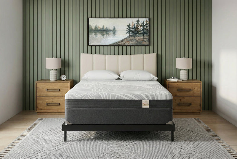 Springwall Spa 8 Firm Smooth Top Twin Mattress in a Box Set