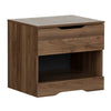 Holland 1-Drawer Nightstand - Natural Walnut