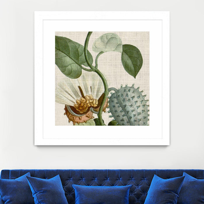 \"Cropped Turpin Tropicals Ii\" Matted and Framed White 36x36 Wall Art