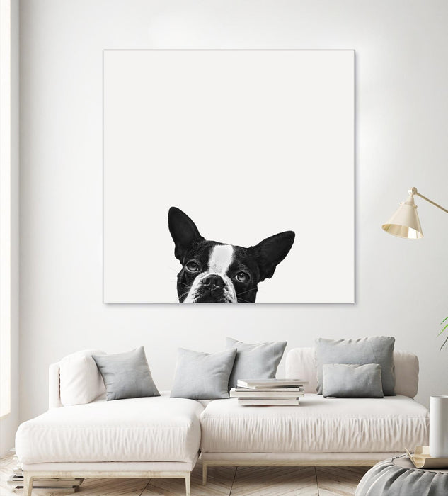 \"Loyalty\" Giant Art 72x72 Wall Art