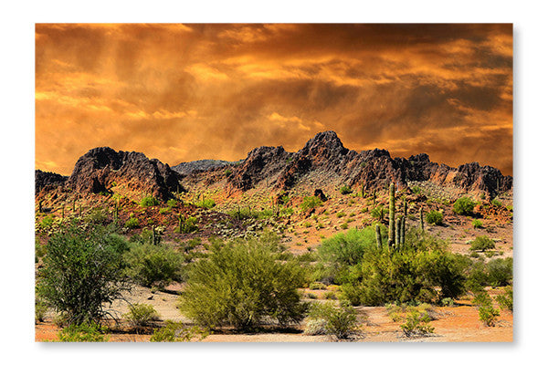 New Mexico Border 28x42 Wall Art Frame And Fabric Panel