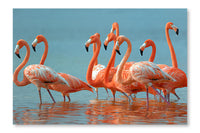 Flamingos 24x36 Wall Art Frame And Fabric Panel