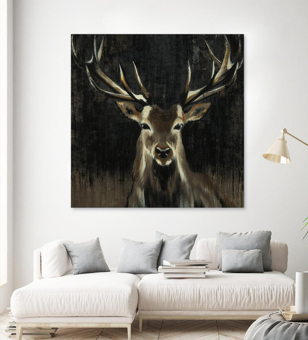\"Young Buck\" Giant Art 72x72 Wall Art