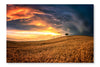Lonely Tree In Sea Of Wheat 28x42 Wall Art Frame And Fabric Panel
