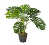 Artificial 23\" Monstera In Black Pot
