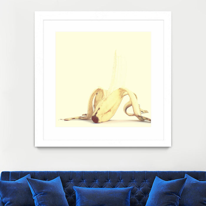 \"Banada Honey Puff\" Matted and Framed White 36x36 Wall Art