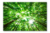 Green Forest 2 24x36 Wall Art Frame And Fabric Panel