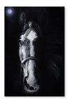 Horse Staring 24x36 Wall Art Frame And Fabric Panel