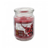 18 Oz Scented Jar Candle Winter Berry - Set of 2