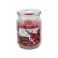 18 Oz Scented Jar Candle Winter Berry - Set of 2
