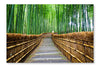 Path To Bamboo Forest, Arashiyama 24x36 Wall Art Frame And Fabric Panel