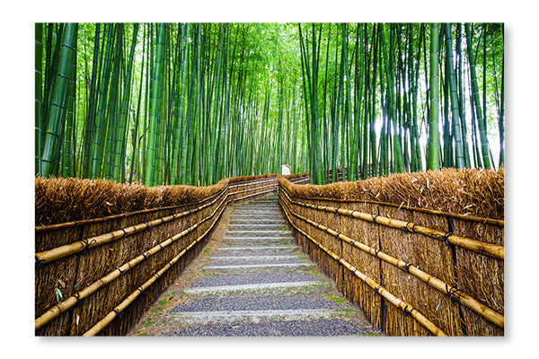 Path To Bamboo Forest, Arashiyama 24x36 Wall Art Frame And Fabric Panel