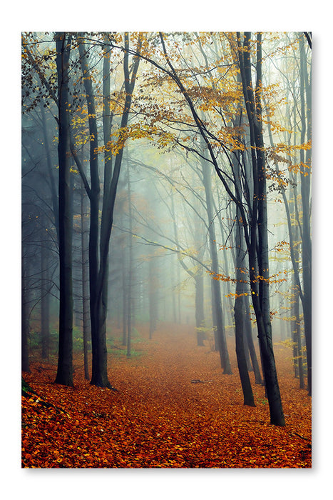 Autumn Landscape 28x42 Wall Art Frame And Fabric Panel