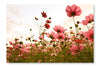 Cosmos Flowers In Sunset 16x24 Wall Art Frame And Fabric Panel