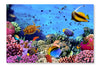 Photo Of A Coral Colony On A Reef, Egypt 16x24 Wall Art Frame And Fabric Panel