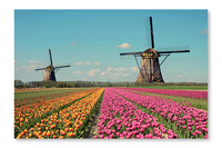 Fantastic Landscape With Windmills And Tulip Field 16x24 Wall Art Frame And Fabric Panel