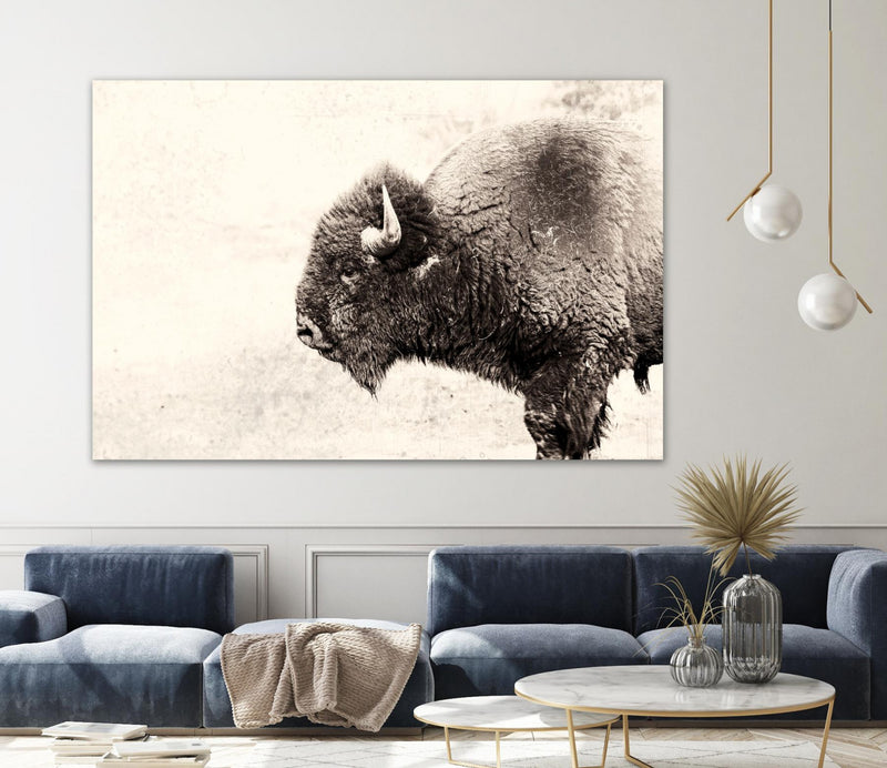 \"Buffalo\" Giant Art 84x54 Wall Art