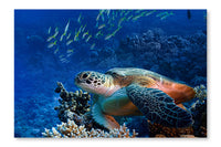 Big Sea Turtle Underwater 24x36 Wall Art Frame And Fabric Panel