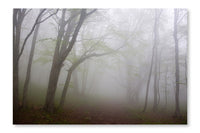 Morning Fog 16x24 Wall Art Frame And Fabric Panel