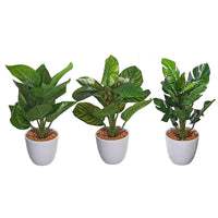 Artificial Plants in White Plastic Pot - Set of 3 Artificial Flower
