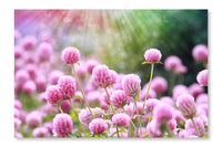 Flower 24x36 Wall Art Frame And Fabric Panel