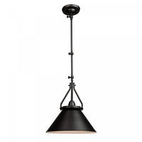 Brydon 1-Light Black Wall Sconce Pendant