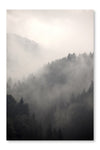 Foggy Forest 16x24 Wall Art Frame And Fabric Panel