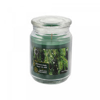 18 Oz Scented Jar Candle Christmas Magic - Set of 2