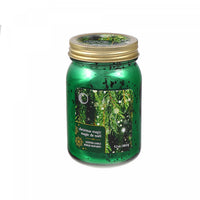 9.2oz Electroplated Mason Jar Candle Christmas Magic
