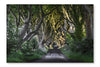 The Dark Hedges 16x24 Wall Art Frame And Fabric Panel