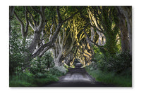 The Dark Hedges 16x24 Wall Art Frame And Fabric Panel