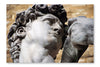 Statue Of David By Michelangelo In Florence 24x36 Wall Art Frame And Fabric Panel