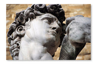 Statue Of David By Michelangelo In Florence 24x36 Wall Art Frame And Fabric Panel