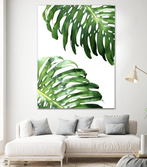\"Double Philodendron (color)\" Giant Art 72x54 Wall Art