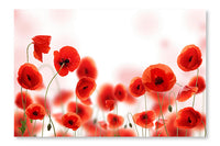 Poppy Field 24x36 Wall Art Frame And Fabric Panel