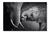 Elephant Affection 24x36 Wall Art Frame And Fabric Panel