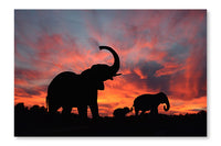 Elephants Enjoy A Spectacular Sunset On The Serengeti 28x42 Wall Art Frame And Fabric Panel