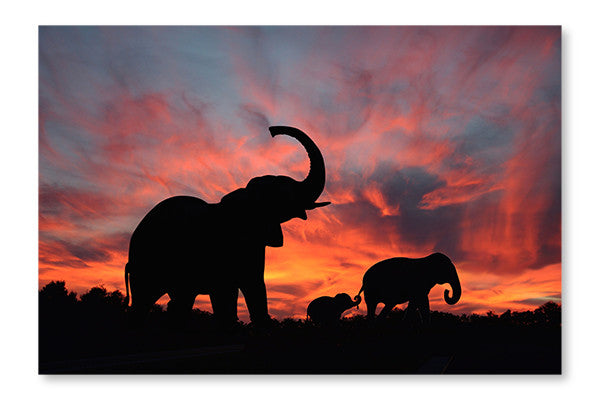 Elephants Enjoy A Spectacular Sunset On The Serengeti 28x42 Wall Art Frame And Fabric Panel