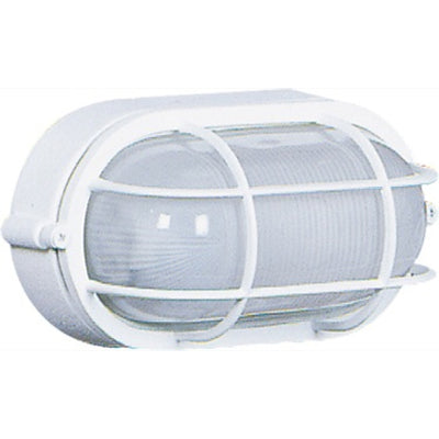 Marine 1-Light White Outdoor Wall Light II 