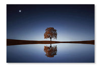 Tree Near Lake At Night 28x42 Wall Art Frame And Fabric Panel