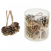 12 Pack Pinecones in Pvc Tube Gold - Set of 2 Christmas Ornaments