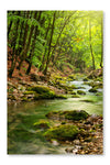 River Deep In Mountain Forest 28x42 Wall Art Frame And Fabric Panel