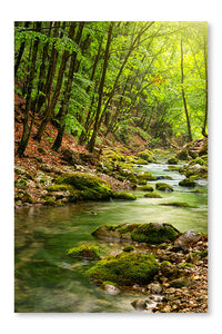 River Deep In Mountain Forest 28x42 Wall Art Frame And Fabric Panel
