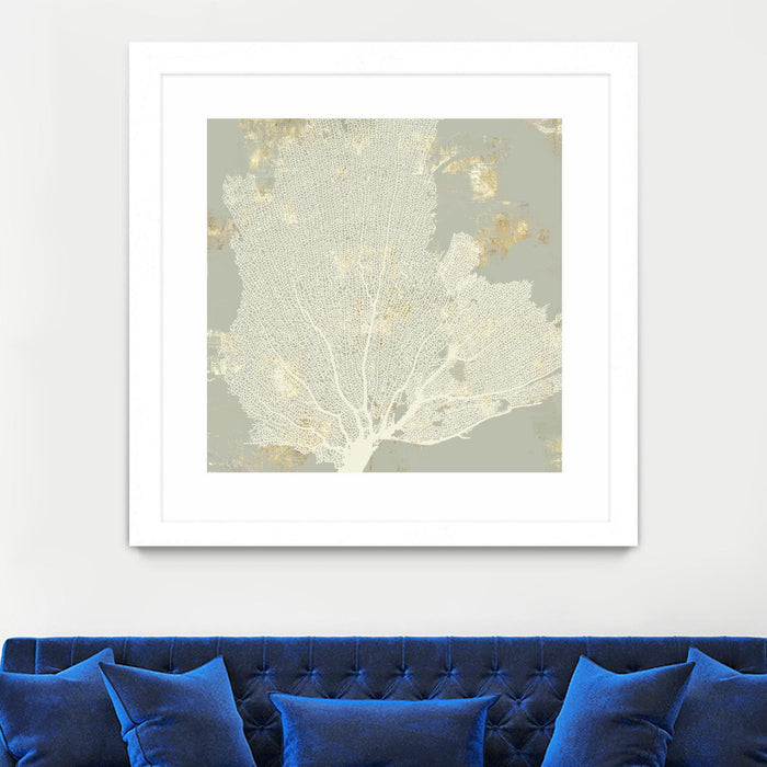 \"Sea Coral I\" Matted and Framed White 36x36 Wall Art