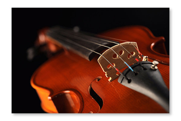 Close Up Shot Of A Violin, Shallow Deep Of Field 24x36 Wall Art Frame And Fabric Panel