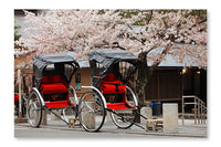 Japan Ricksha With Cherry Blossoms Tree 28x42 Wall Art Frame And Fabric Panel