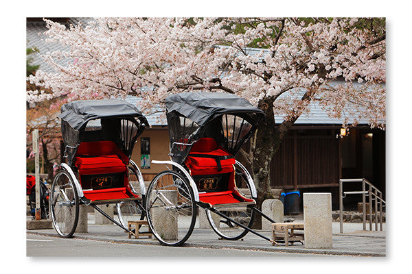 Japan Ricksha With Cherry Blossoms Tree 28x42 Wall Art Frame And Fabric Panel